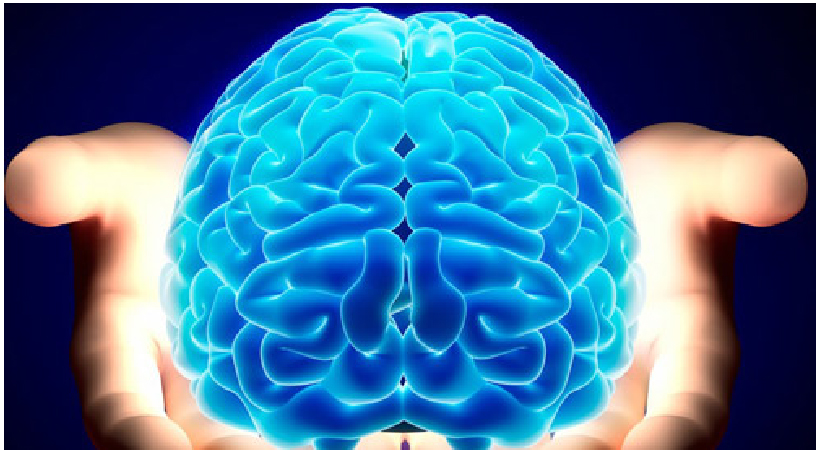 Paediatric Neurology